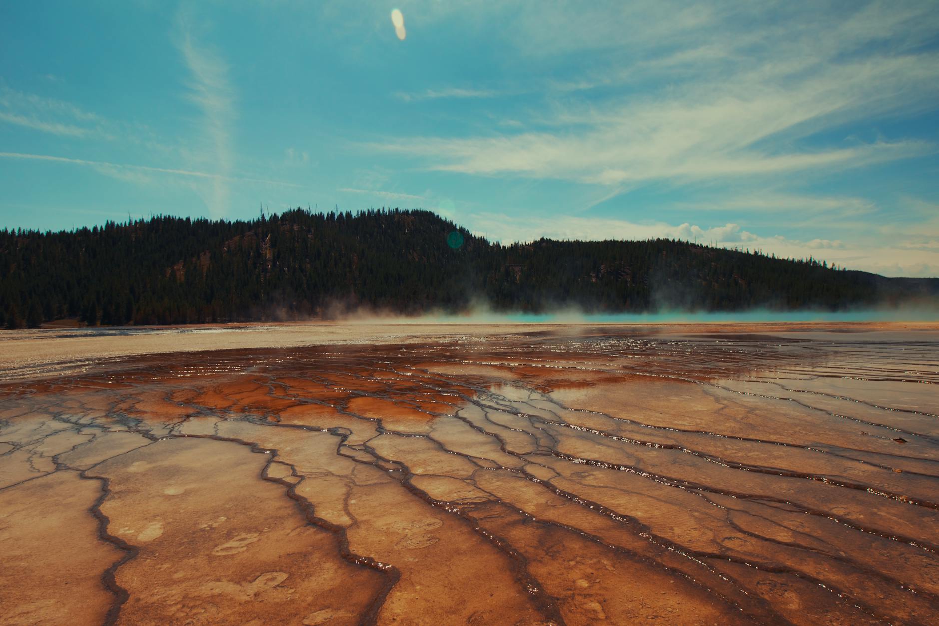 Vibrant geothermal hot springs near forested hills in Yellowstone National Park.